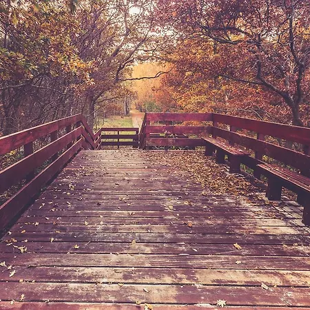 Sunsea Apartamento *